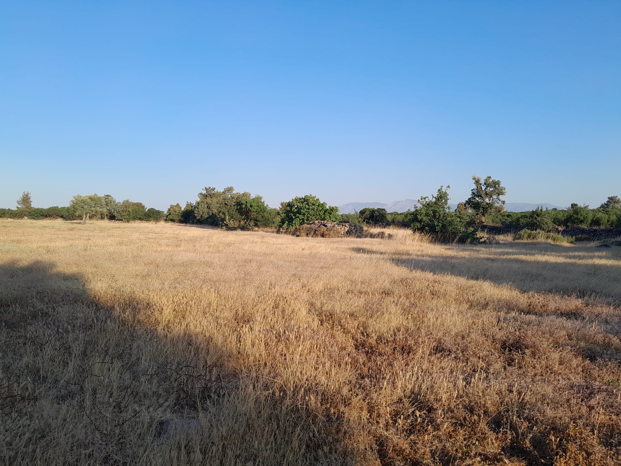 manisa-yunusemre-karakilincli-mah-satilik-tarla