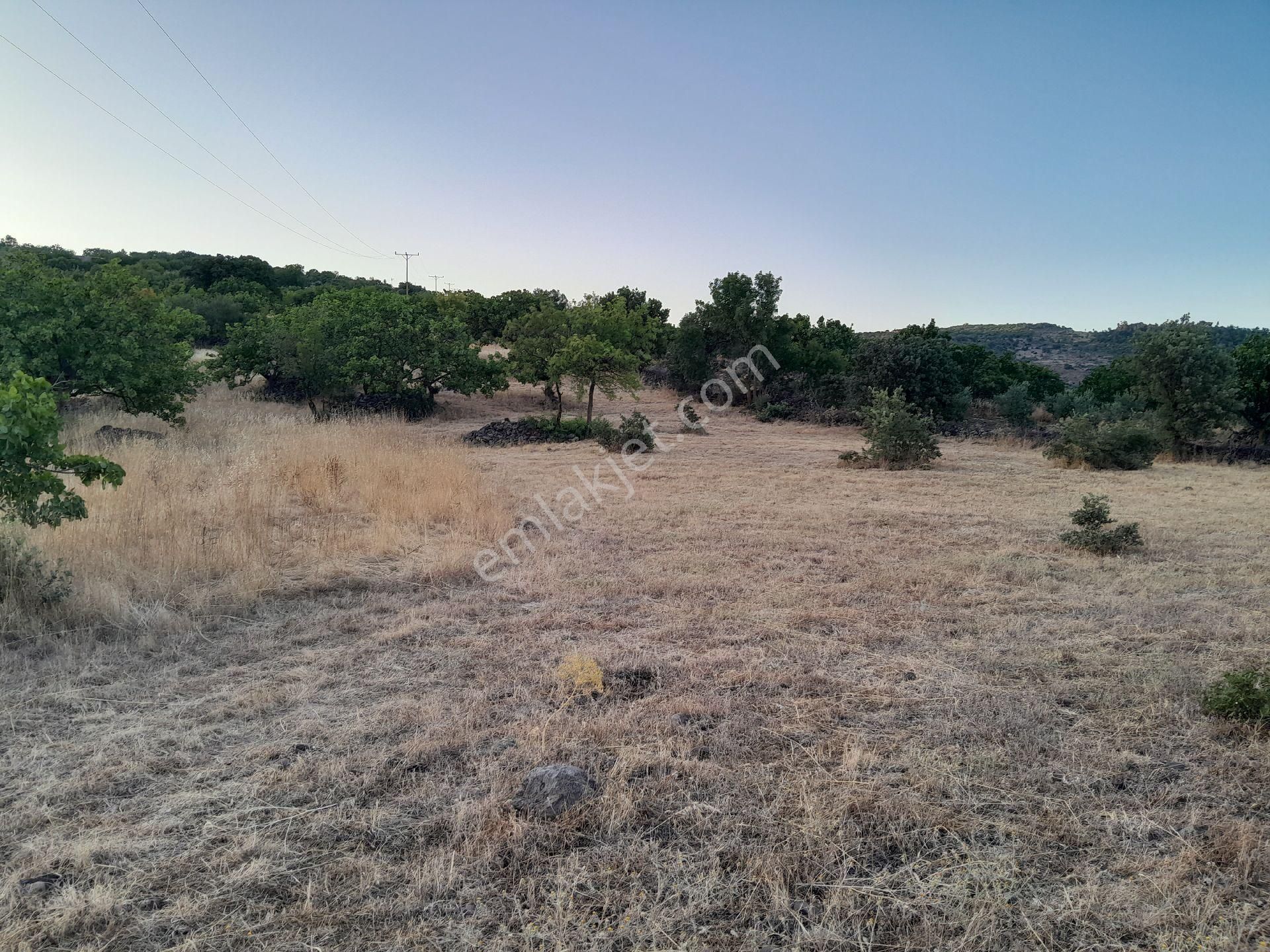 manisa-yunusemre-camlica-mah-satilik-tarla